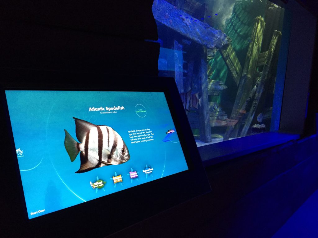 North Carolina Aquarium on Roanoke Island, Cortina Productions